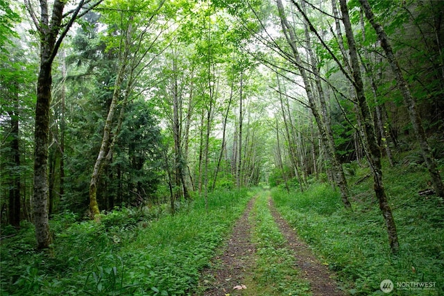 0XX 00, Mount Vernon, WA 98274 - photo 16