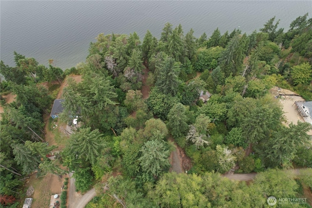 6206 Crescent Beach Rd, Vaughn, WA 98394 - photo 8