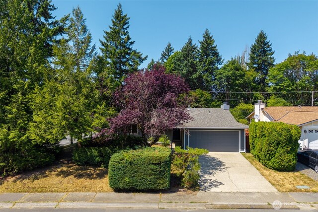 10909 156th Pl NE, Redmond, WA 98052 - photo 29