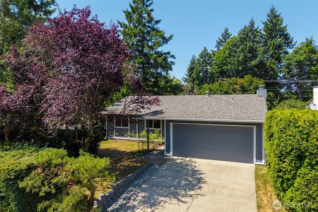 10909 156th Pl NE, Redmond, WA 98052 - photo 30