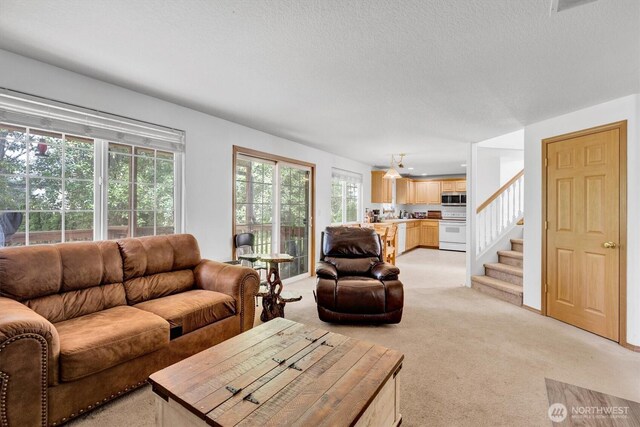 1061 40th St, Washougal, WA 98671 - photo 9
