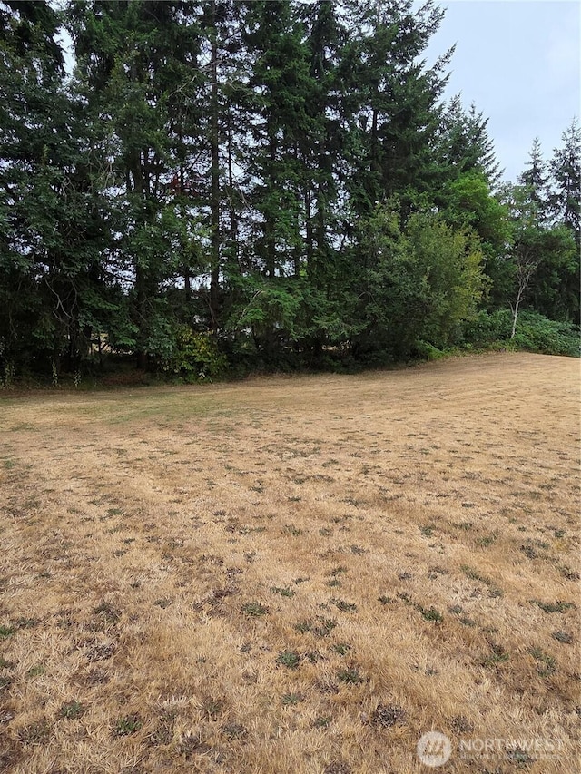 2430 SE Celebrity Ct, Port Orchard, WA 98367 - photo 5