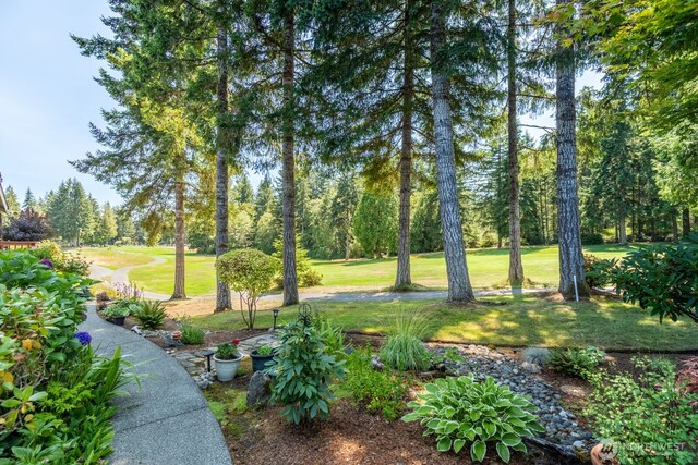 321 E Soderberg Rd Unit C9, Allyn, WA 98524 - photo 16
