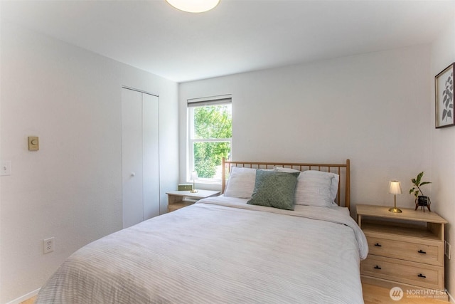 7169 18th Ave SW, Seattle, WA 98106 - photo 16