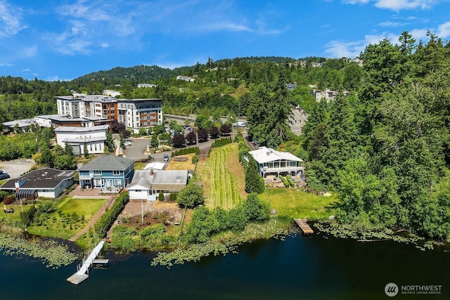 13059 SE 76th St, Newcastle, WA 98056 - photo 1