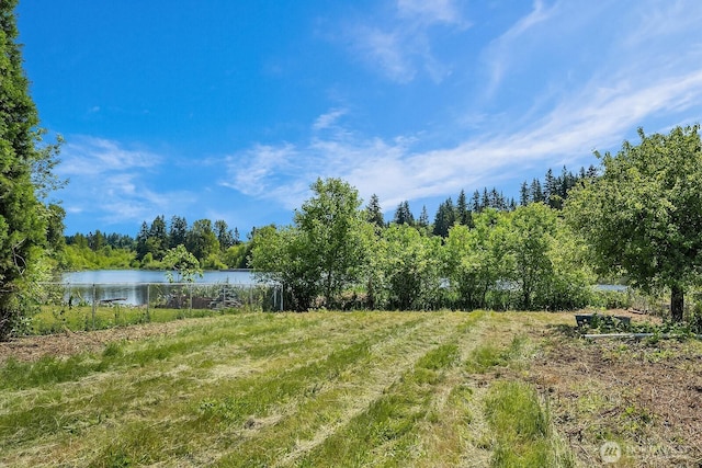 13059 SE 76th St, Newcastle, WA 98056 - photo 5