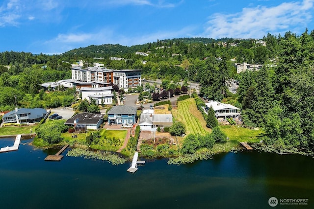 13059 SE 76th St, Newcastle, WA 98056 - photo 9