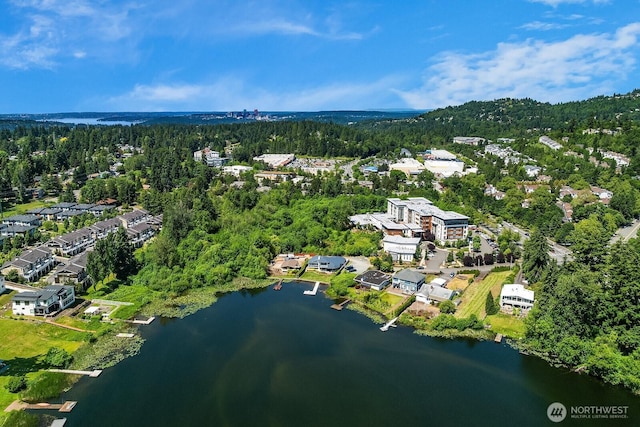 13059 SE 76th St, Newcastle, WA 98056 - photo 10