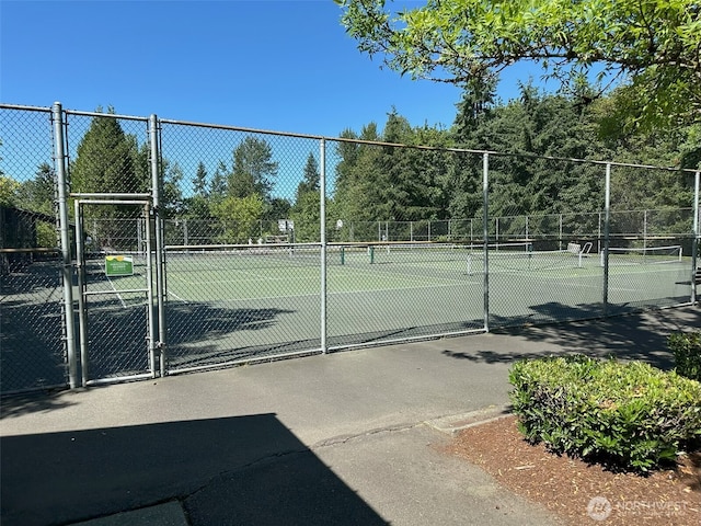 13059 SE 76th St, Newcastle, WA 98056 - photo 13