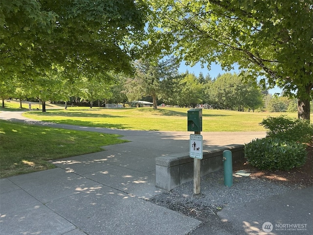 13059 SE 76th St, Newcastle, WA 98056 - photo 14