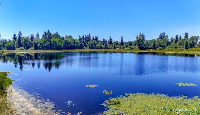 6045 Mullen Rd SE, Lacey, WA 98503 - photo 1
