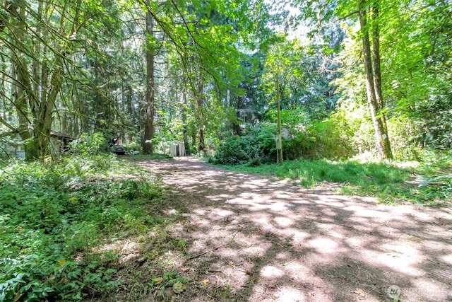 6045 Mullen Rd SE, Lacey, WA 98503 - photo 6