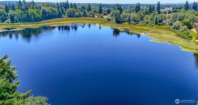 6045 Mullen Rd SE, Lacey, WA 98503 - photo 11