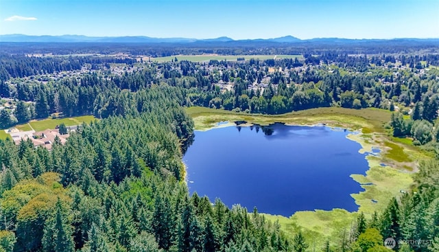 6045 Mullen Rd SE, Lacey, WA 98503 - photo 12