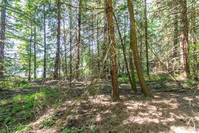 6045 Mullen Rd SE, Lacey, WA 98503 - photo 22