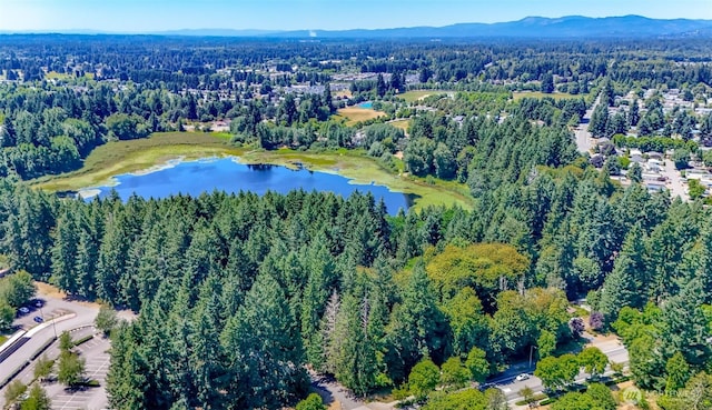 6045 Mullen Rd SE, Lacey, WA 98503 - photo 32