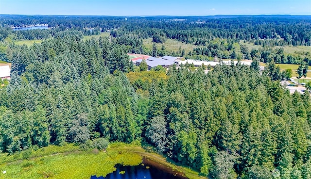 6045 Mullen Rd SE, Lacey, WA 98503 - photo 28