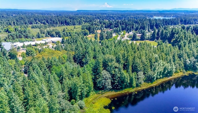 6045 Mullen Rd SE, Lacey, WA 98503 - photo 31