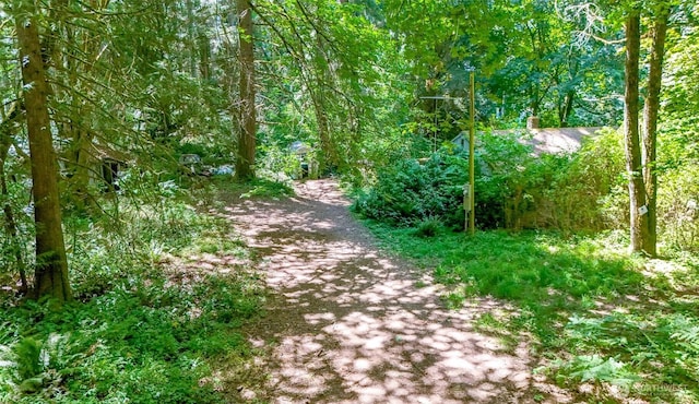 6045 Mullen Rd SE, Lacey, WA 98503 - photo 26