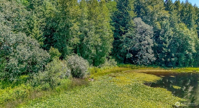6045 Mullen Rd SE, Lacey, WA 98503 - photo 27