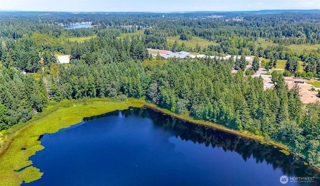 6045 Mullen Rd SE, Lacey, WA 98503 - photo 29