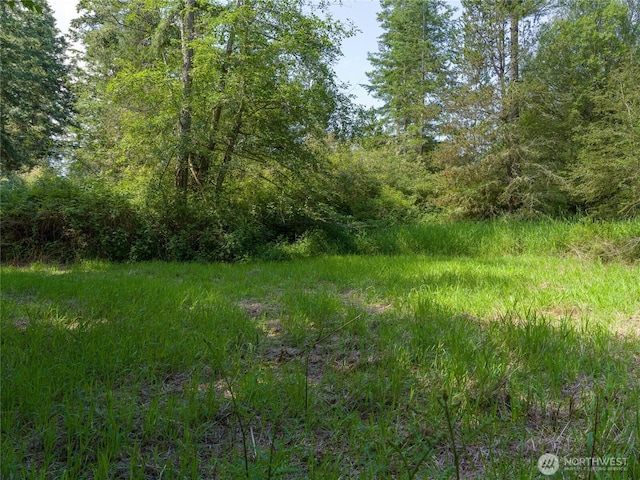 1486 Center Rd, Lopez Island, WA 98261 - photo 2