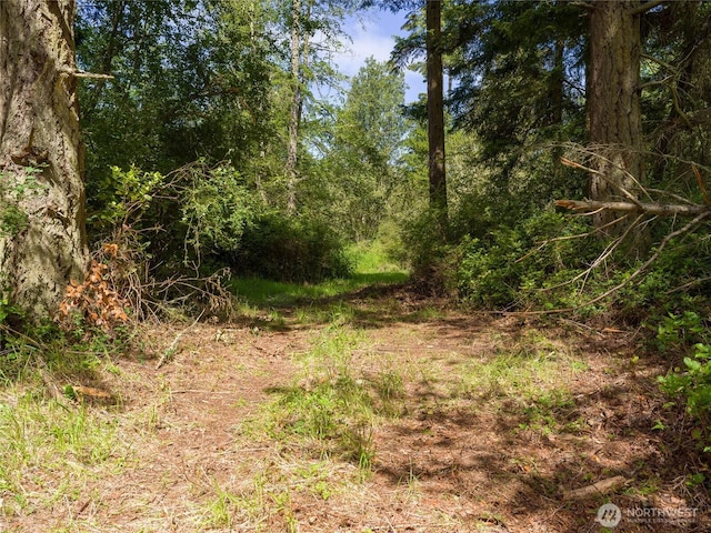 1486 Center Rd, Lopez Island, WA 98261 - photo 3