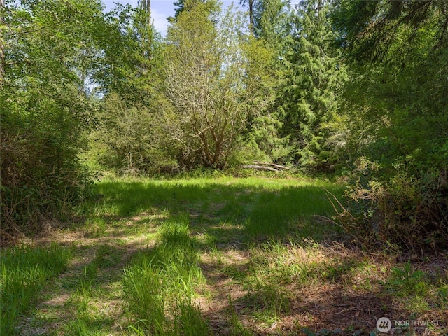 1486 Center Rd, Lopez Island, WA 98261 - photo 4