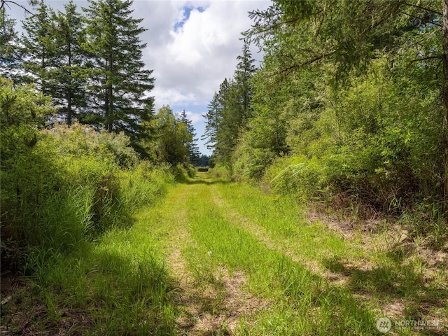 1486 Center Rd, Lopez Island, WA 98261 - photo 5