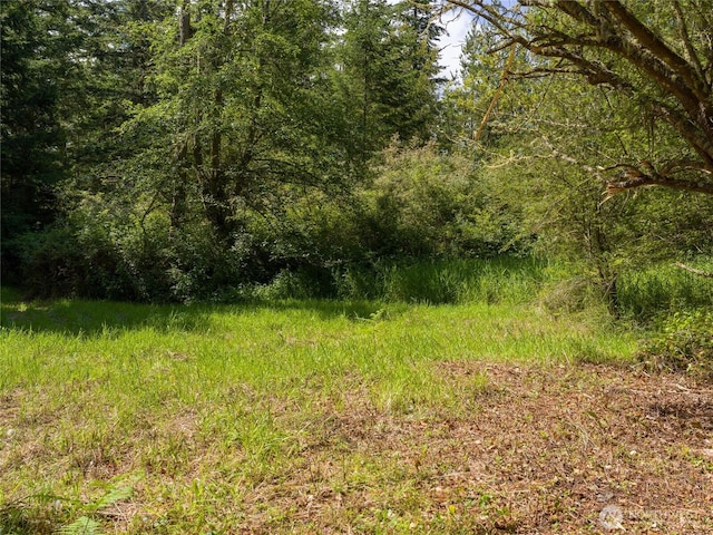 1486 Center Rd, Lopez Island, WA 98261 - photo 6