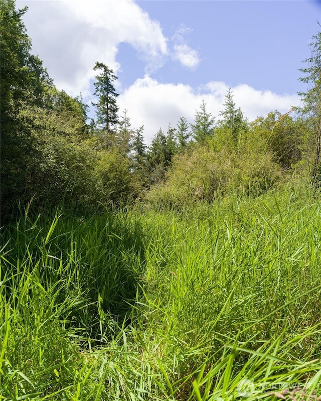 1486 Center Rd, Lopez Island, WA 98261 - photo 7