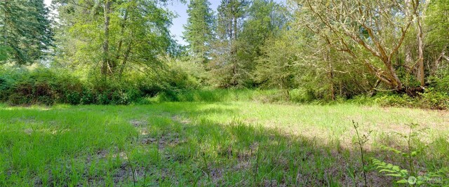 1486 Center Rd, Lopez Island, WA 98261 - photo 1