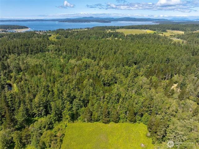1486 Center Rd, Lopez Island, WA 98261 - photo 8