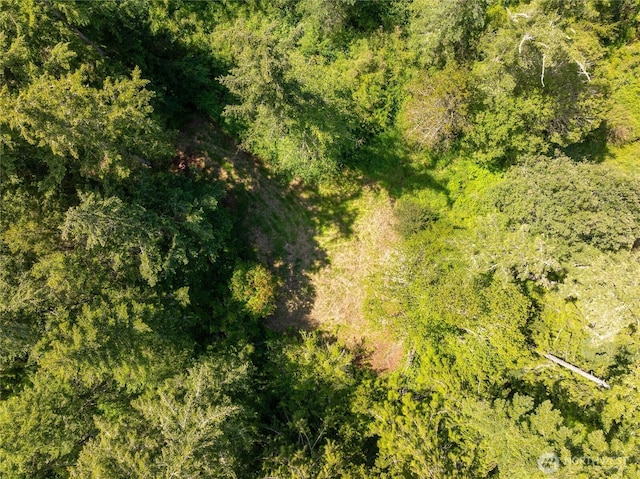 1486 Center Rd, Lopez Island, WA 98261 - photo 9