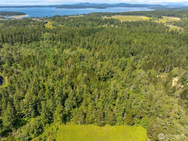 1486 Center Rd, Lopez Island, WA 98261 - photo 10