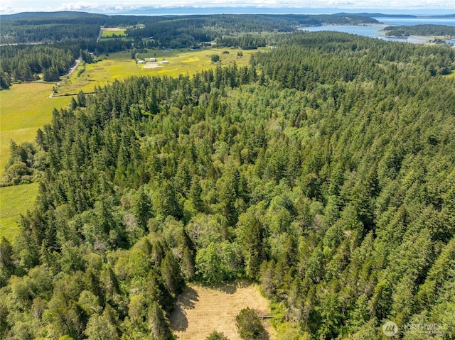 1486 Center Rd, Lopez Island, WA 98261 - photo 12