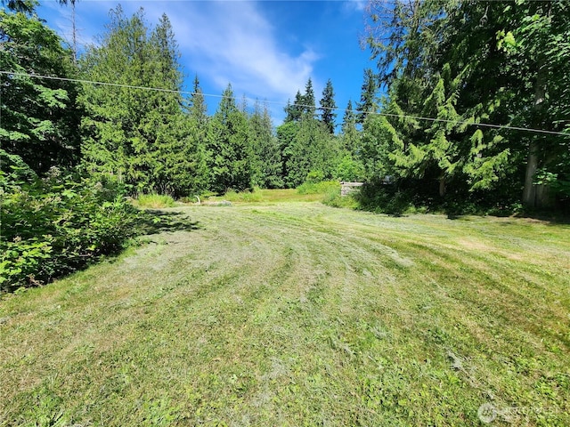 3226 Kelly Rd, Bellingham, WA 98226 - photo 4