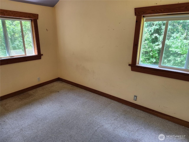 3226 Kelly Rd, Bellingham, WA 98226 - photo 10