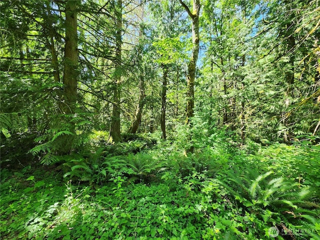3226 Kelly Rd, Bellingham, WA 98226 - photo 18
