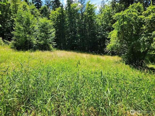 3226 Kelly Rd, Bellingham, WA 98226 - photo 37