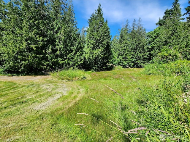3226 Kelly Rd, Bellingham, WA 98226 - photo 38
