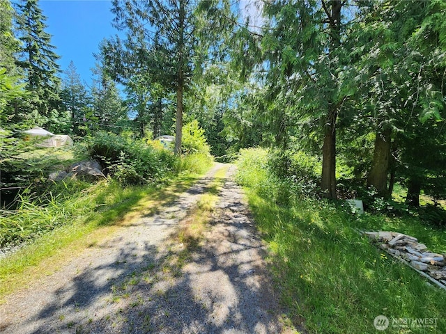 3226 Kelly Rd, Bellingham, WA 98226 - photo 40
