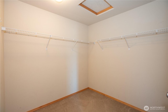 6908 Stone St SE, Lacey, WA 98513 - photo 23