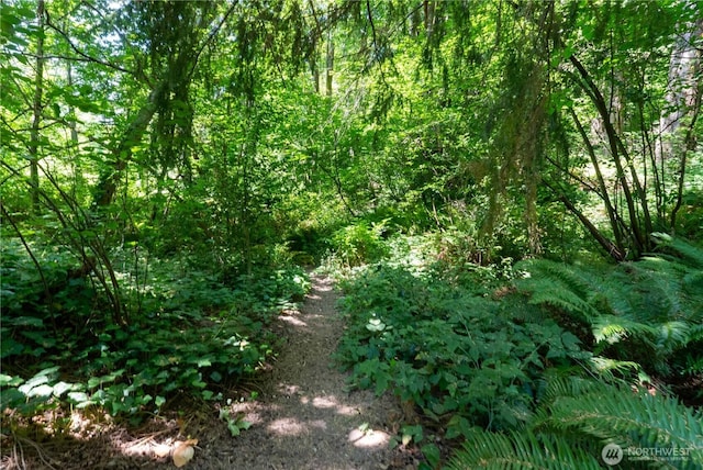 13235 12th Ave SW Unit 733, Burien, WA 98146 - photo 37