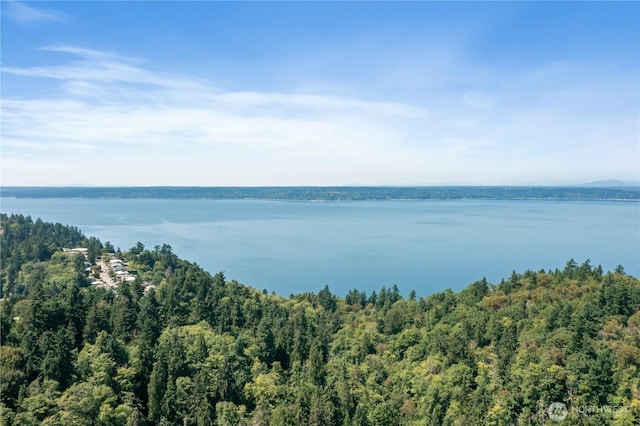 13235 12th Ave SW Unit 733, Burien, WA 98146 - photo 38