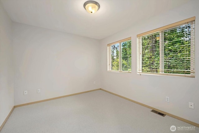 27901 30th Way S, Auburn, WA 98001 - photo 19