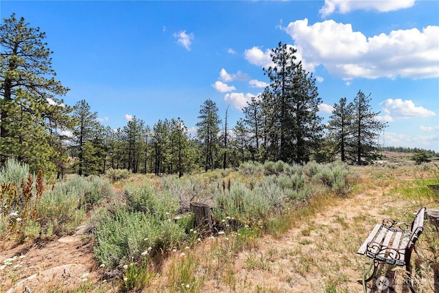 102 Blubird Ln, East Wenatchee, WA 98802 - photo 29
