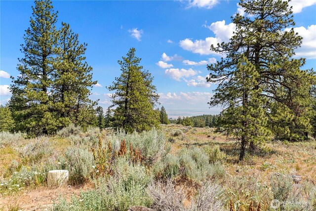 102 Blubird Ln, East Wenatchee, WA 98802 - photo 30