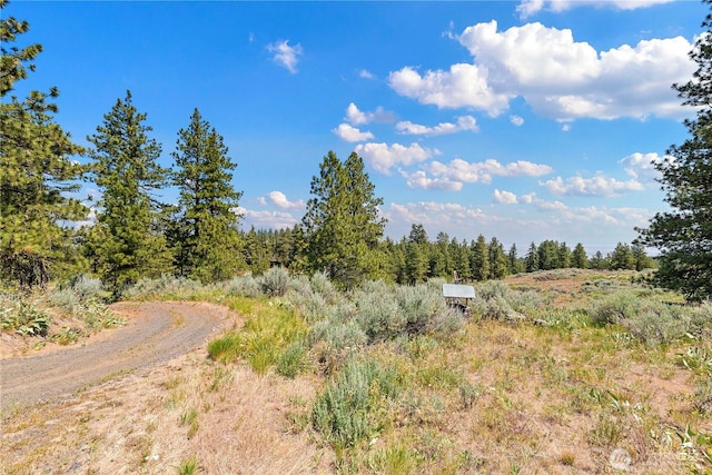 102 Blubird Ln, East Wenatchee, WA 98802 - photo 31