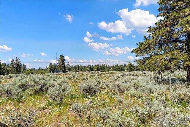 102 Blubird Ln, East Wenatchee, WA 98802 - photo 36